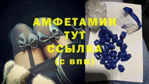 соль ск Алзамай