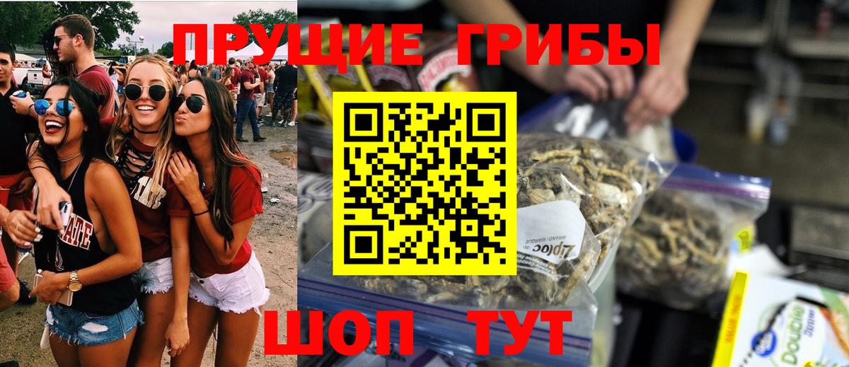 Галлюциногенные грибы Psilocybe  Вход с VPN  Тверь  Псилоцибиновые грибы GOLDEN TEACHER 